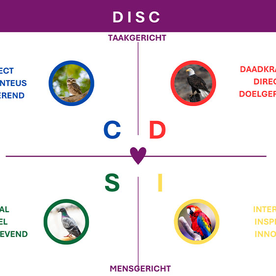 kwadrant DISC vogel variant